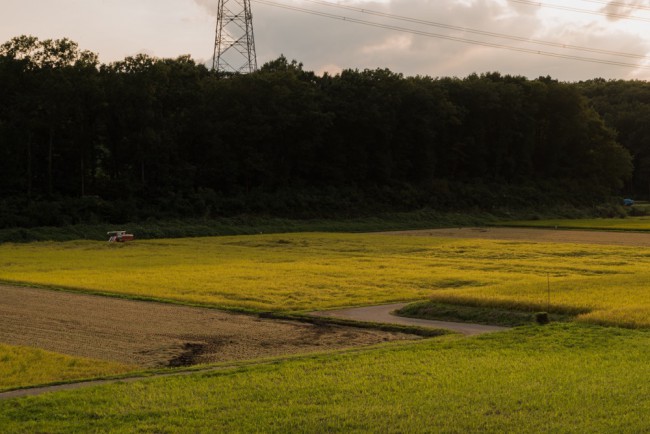 DSC00334_lr