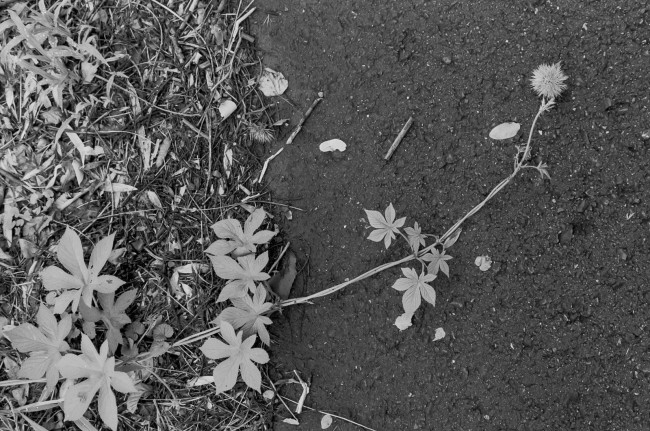 1108220017_110909_lr