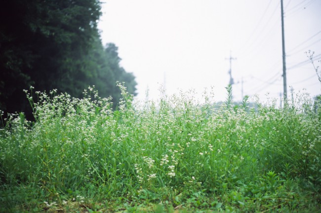 1308040022_130907_lr